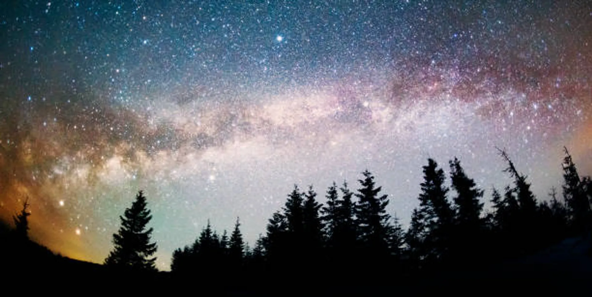 🌳 More Trees on Earth Than Stars in the Milky Way? 🌌