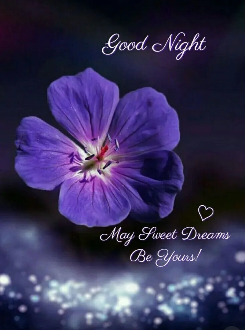 Good Night - May Sweet Dreams Be Yours