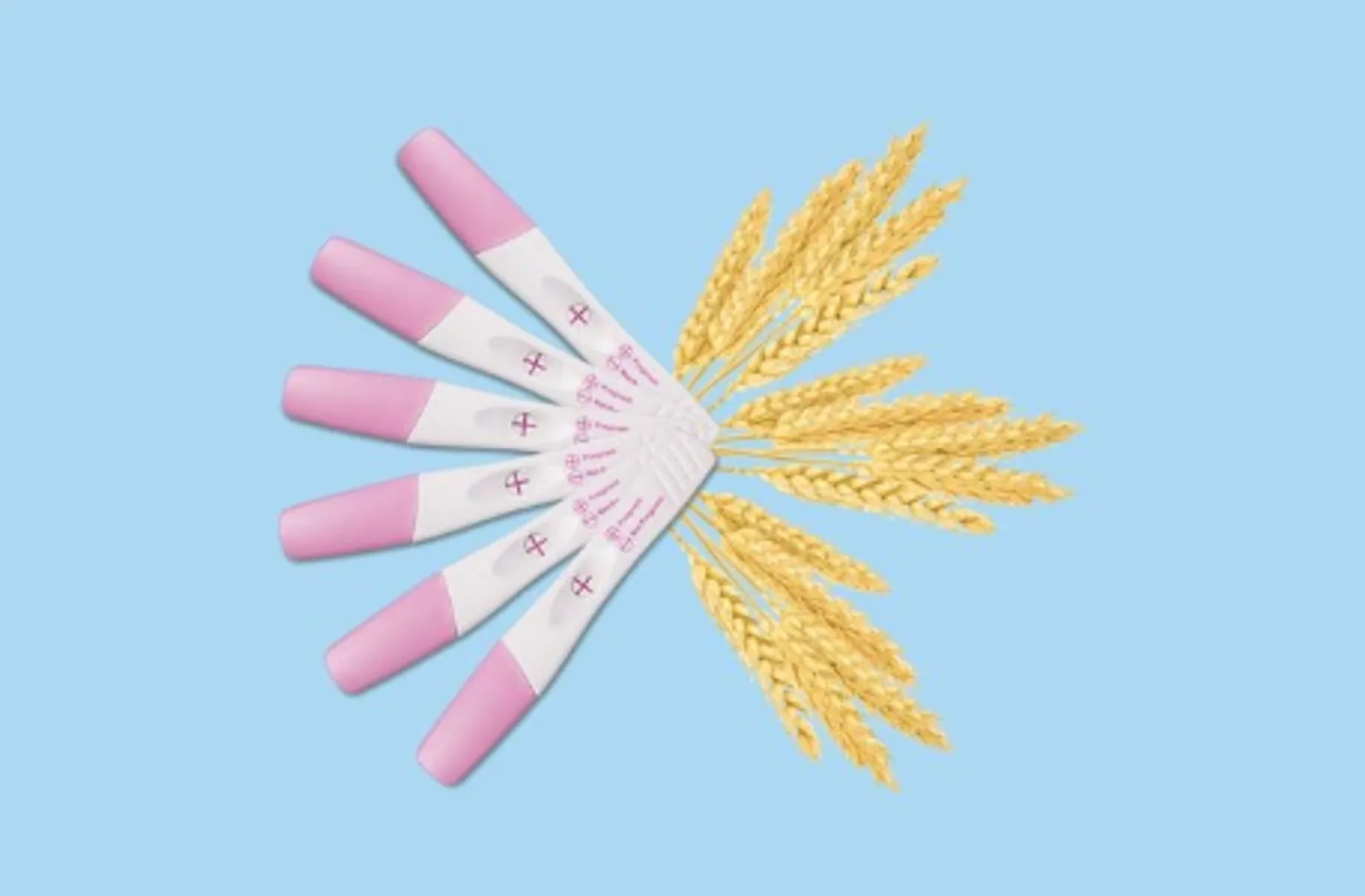 🏺 Ancient Pregnancy Tests: From Wheat & Barley Seeds 🌾