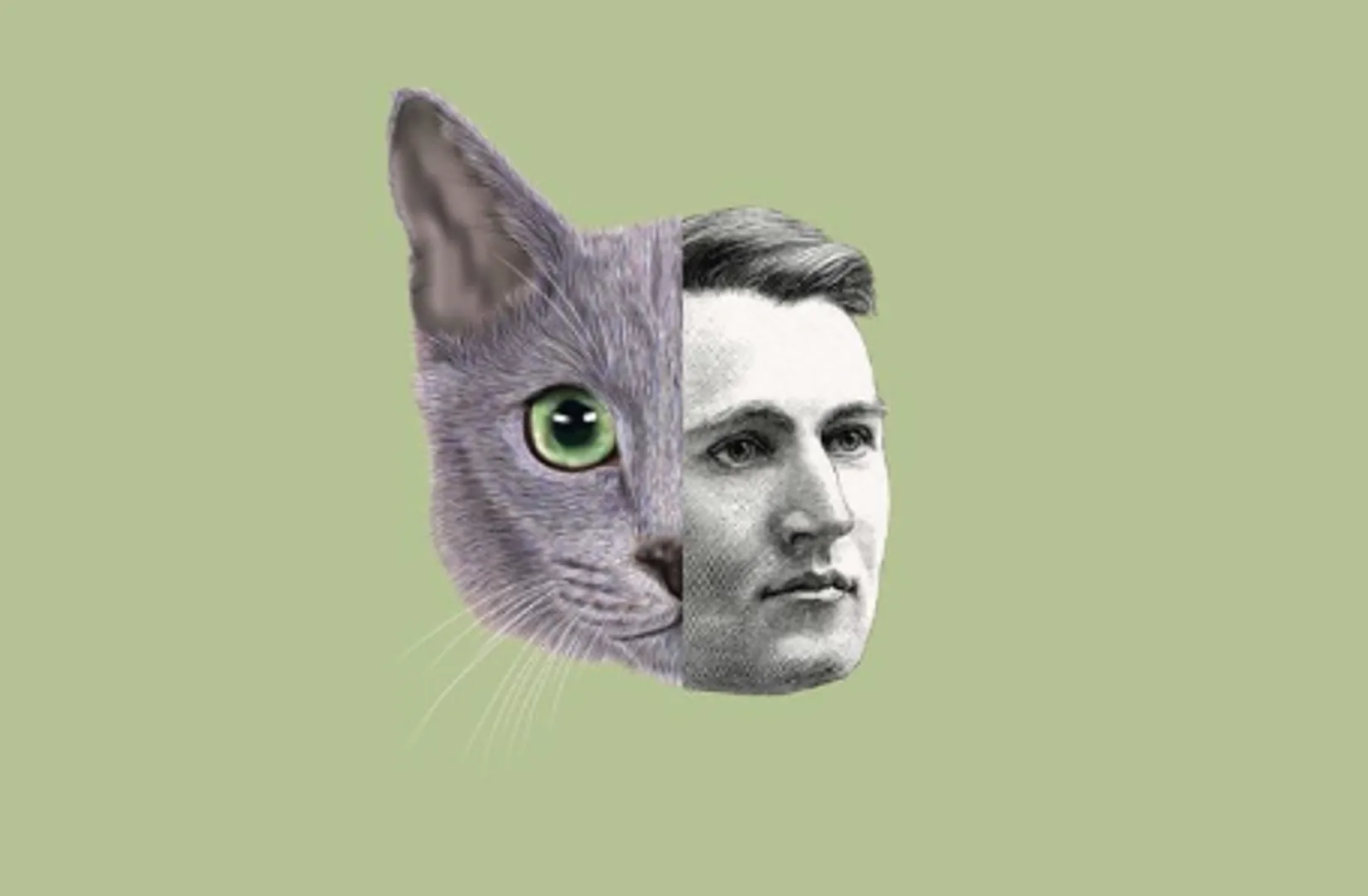 🎥 Thomas Edison Helped Spark Your Love for Cat Videos 🐱📹