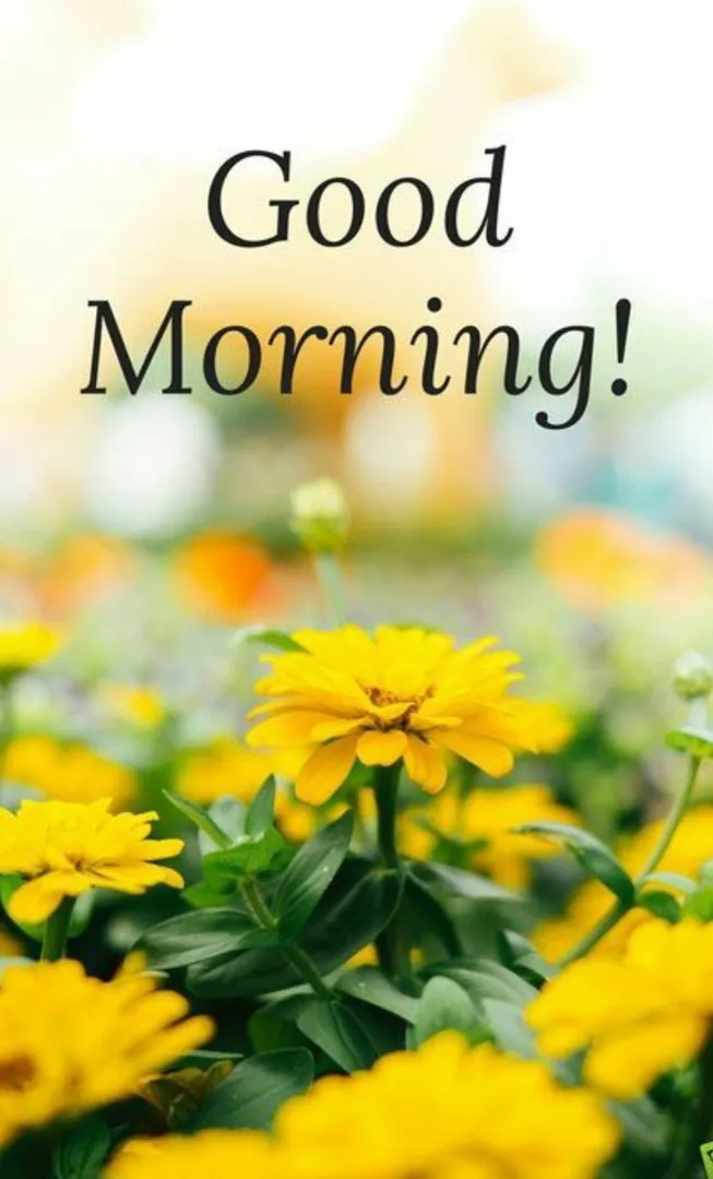 Good Morning - Yellow Flower