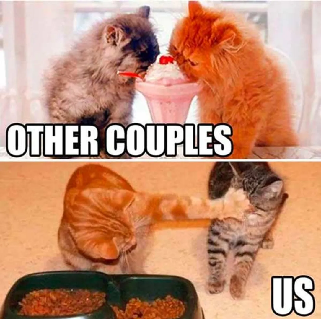 Other Couples Vs Us