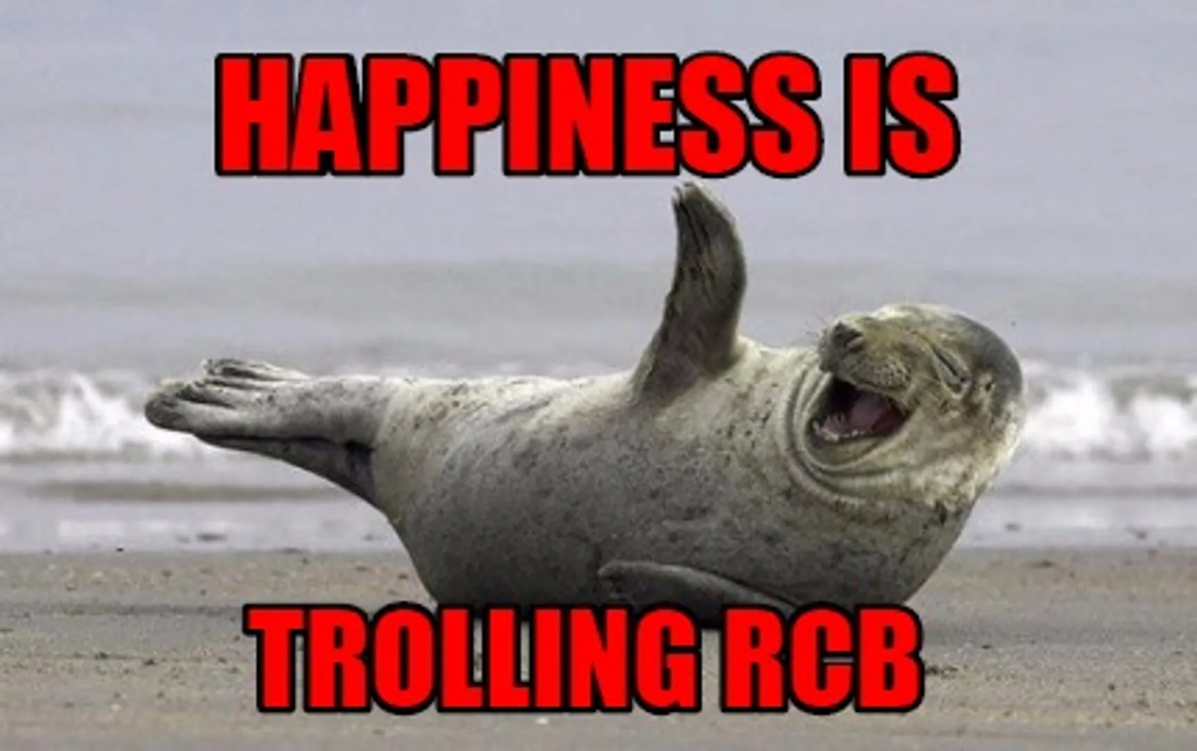 RCB is the Meme Team