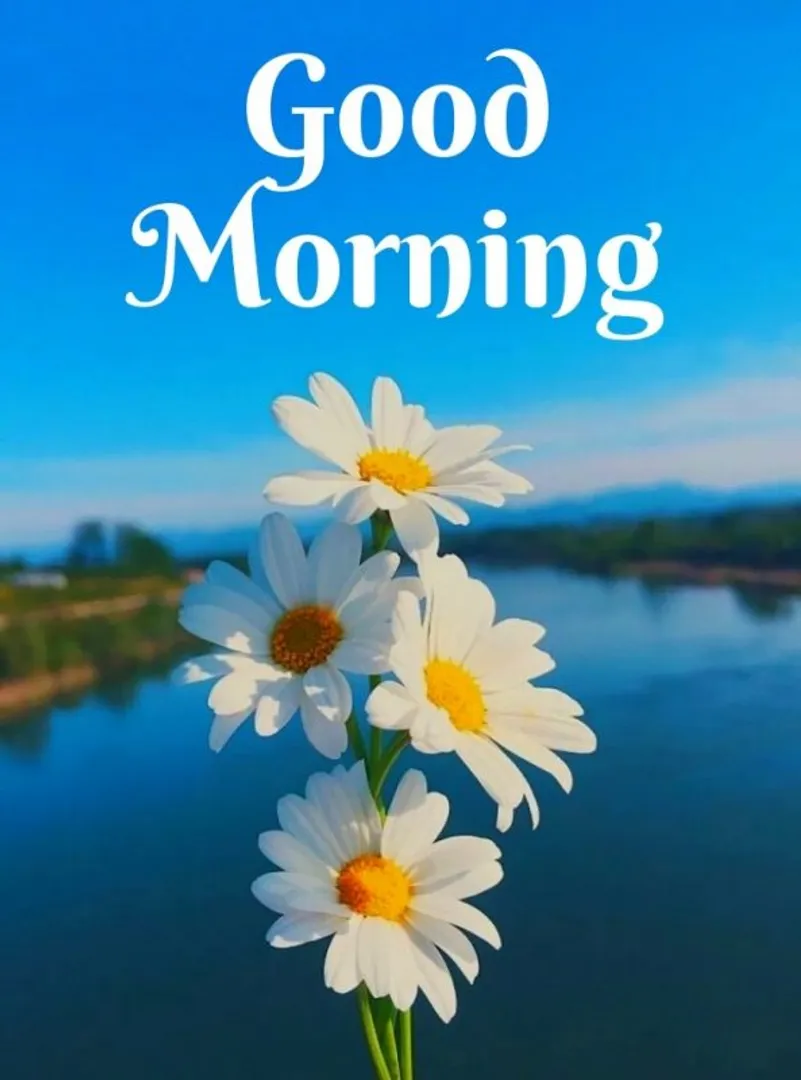 Good Morning Wishes