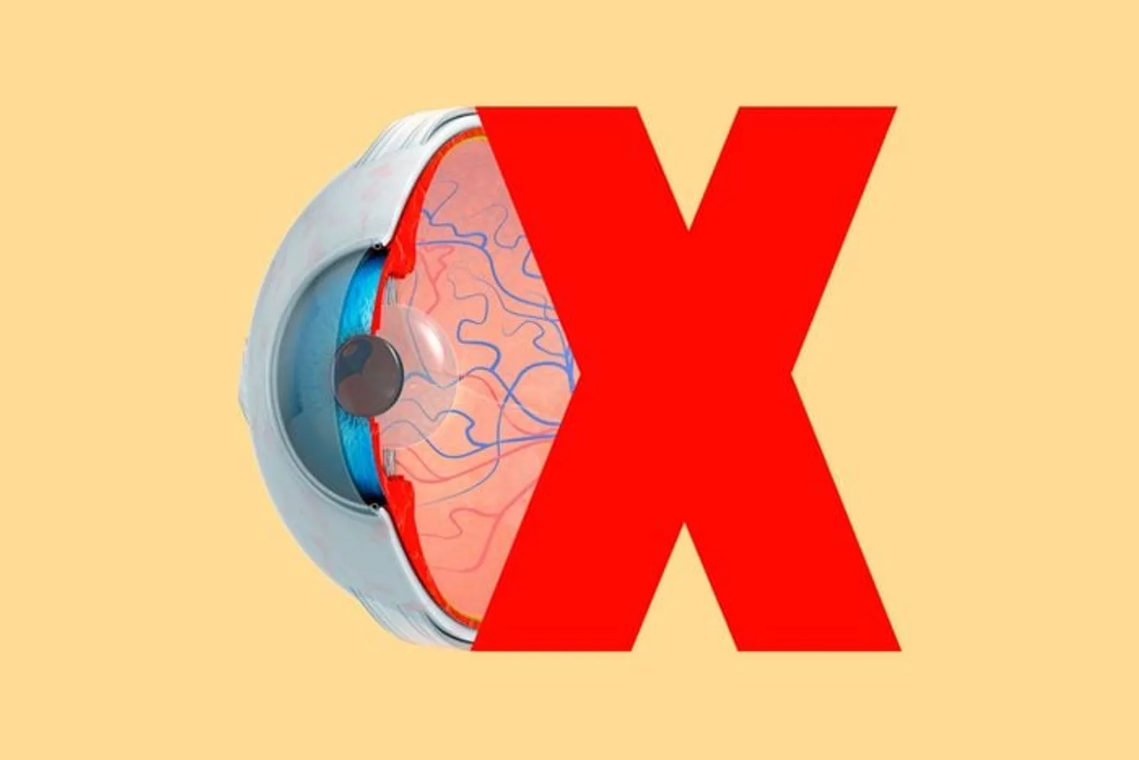 Fact: The cornea is one of only two parts of the human body without blood vessels