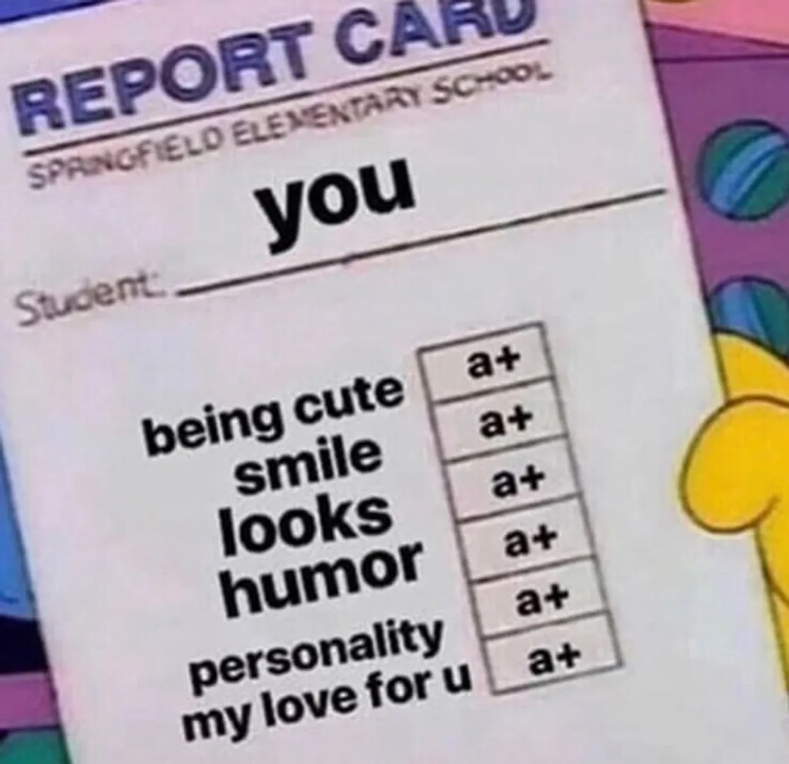 My partner's Report Card