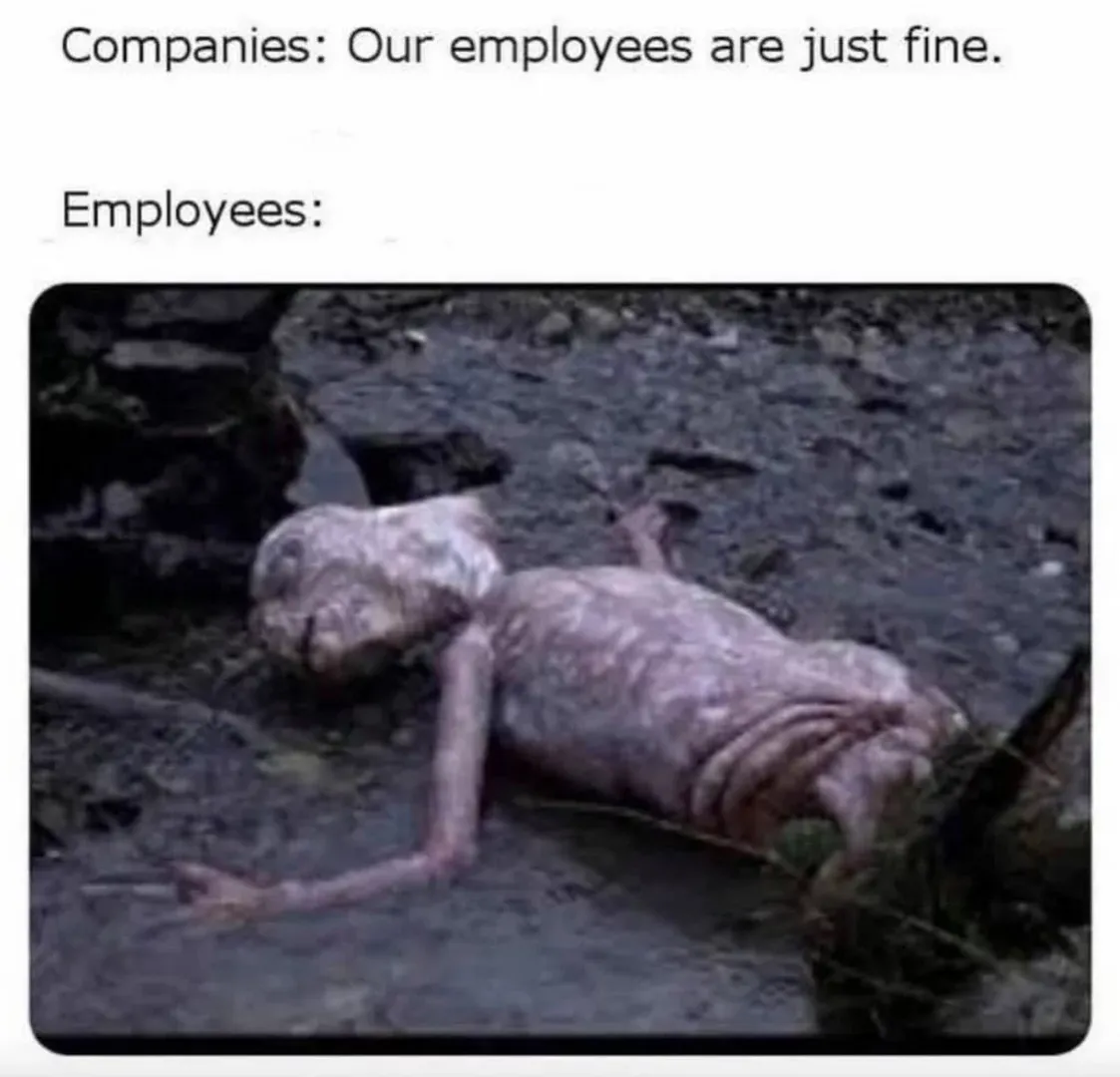 Corporate reality