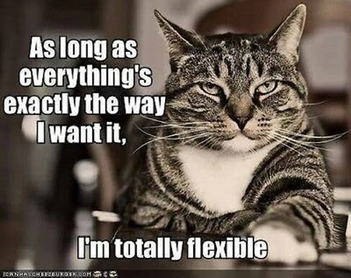 My Idea of flexibility