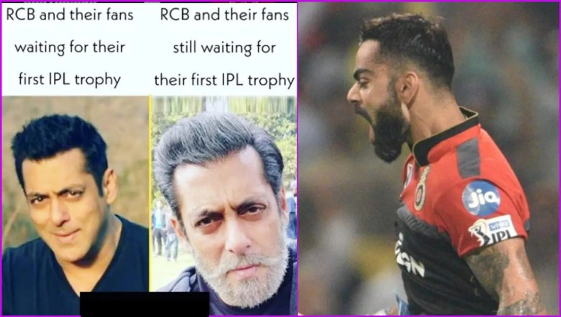 RCB Has The Most Loyal Fan Base