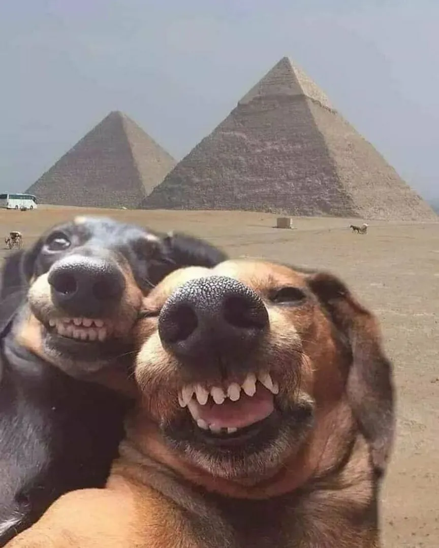 Me and my Friend clicking a selfie