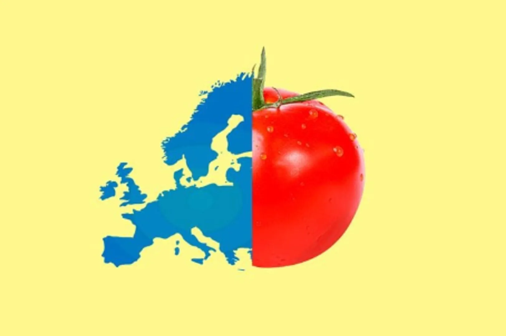 🍅 Why Europeans Feared Tomatoes! 😱